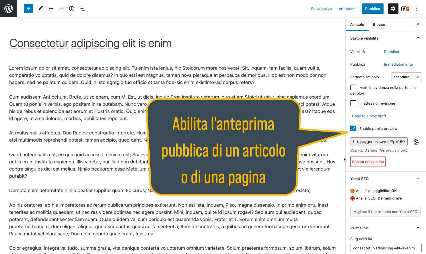 Un plugin per creare anteprime pubbliche dei post